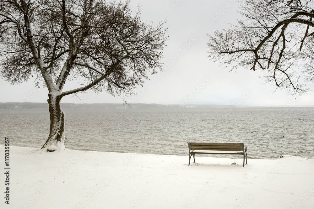 bench in a snowy winter senery