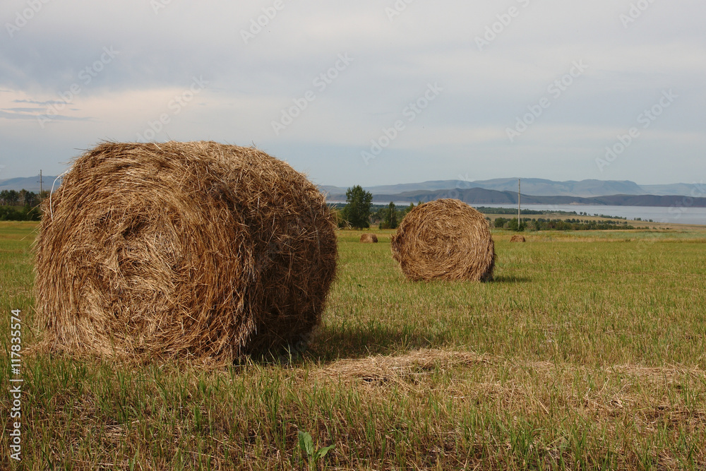 Hay bales on the field 3.