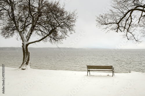 bench in a snowy winter senery photo