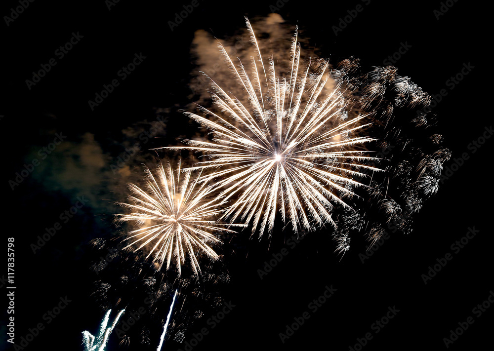 Obraz premium show with big colorful fireworks in the dark night