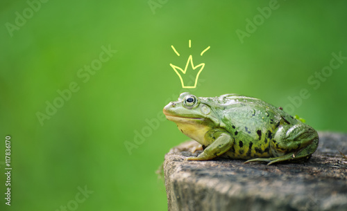 Cute frog princess or prince. Toad painted crown, shooting outdoor