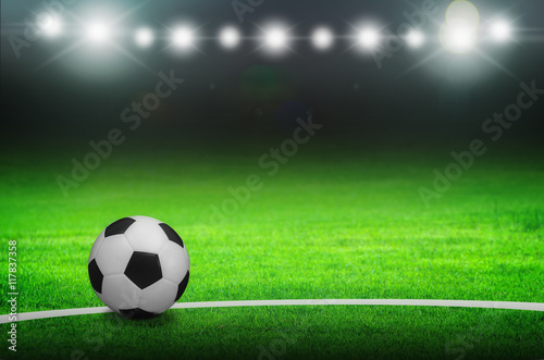 Soccer ball on green stadium © 24Novembers