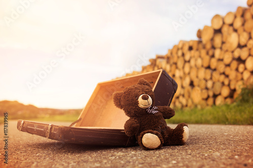 Abandoned, forsaken teddy bear in a vintage luggage suitcase on the asphalt road in the summer sun shine in the nature and beautiful light photo