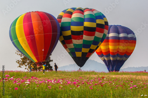 Hot air balloons floating over cosmos flowers field, Chiang Rai, Thailand