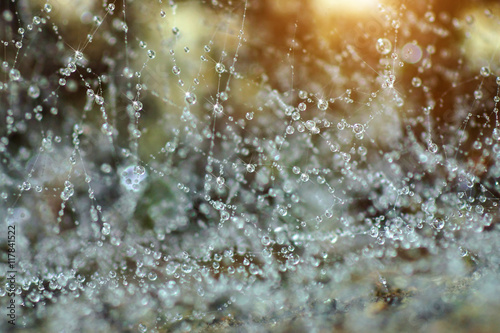 Close-up of cobweb with dew.