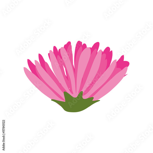 flower lotus garden floral nature plant icon. Isolated and flat illustration. Vector graphic