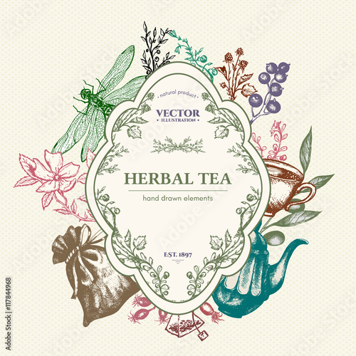 Herbal tea vector card design hand drawn vector illustration