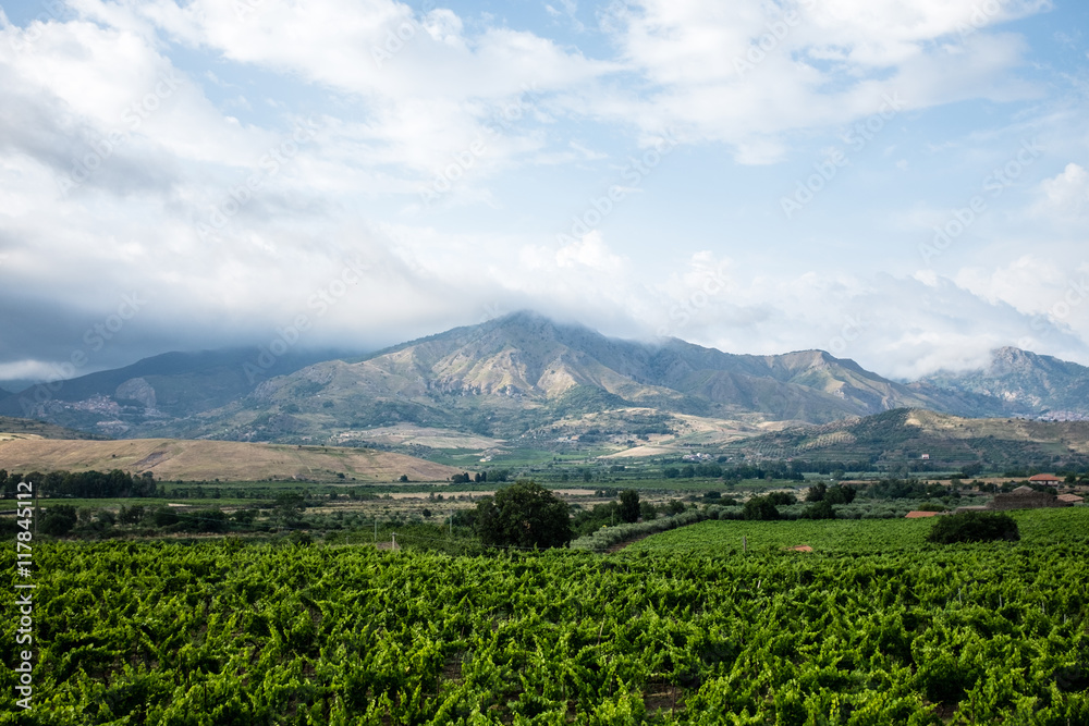 Vineyards in Etna, Italy Vineyards in Etna, Italy