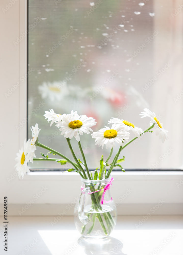 Bouquet of chamomiles flowers on the window sill