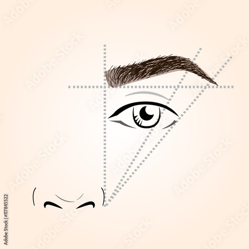 How to paint the eyebrows. Vector trendy makeup brows scheme.