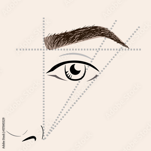 How to paint the eyebrows. Vector trendy makeup brows scheme.