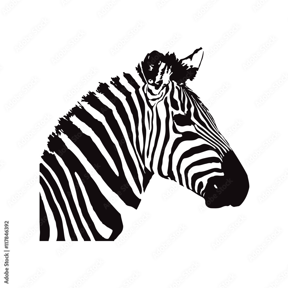 Fototapeta premium Zebra icon