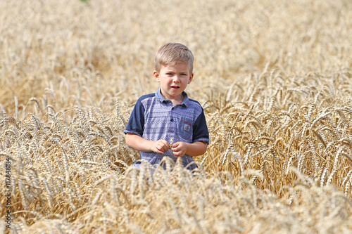 In the field of wheat walks,  very handsome cute well mannered small blond boy. photo