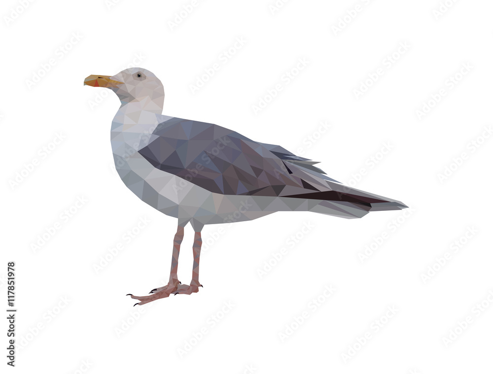 Fototapeta premium Low polygonal seagull illustration. Abstract triangular geometric bird graphic.