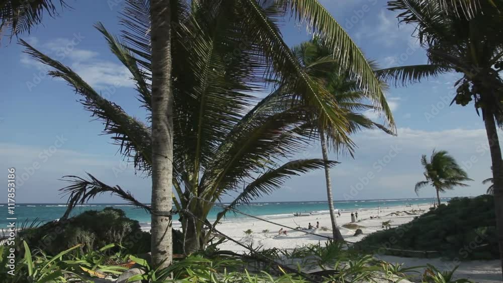 paradise beach mexican caribbean coast paradise beach mexican caribbean coast