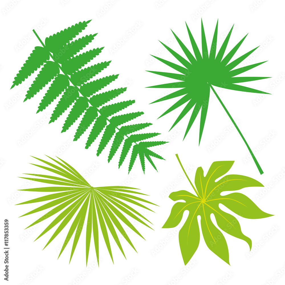 Tropical Leaves Collection on isolate vector. Beautiful Set. Vector illustration. Eps 10.