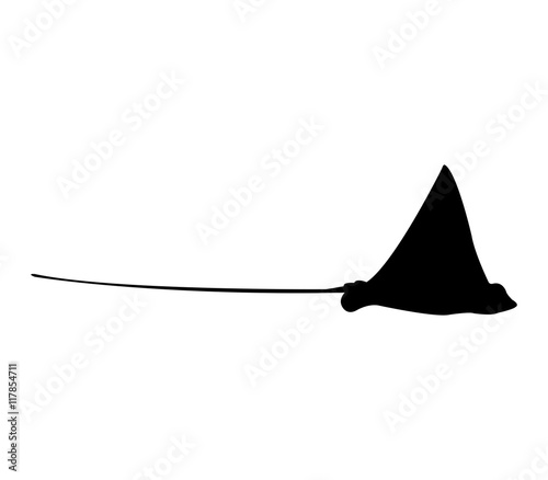 manta animal