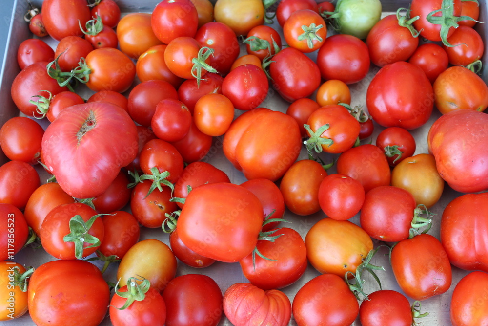 Sfumature di rosso pomodoro Sfumature di rosso pomodoro