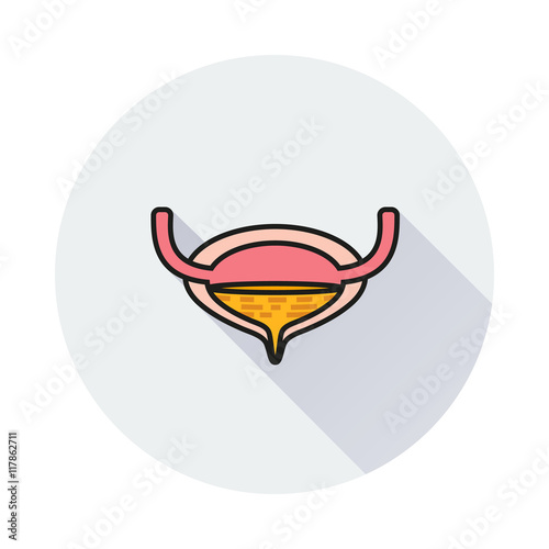 Urinary bladder icon on round background