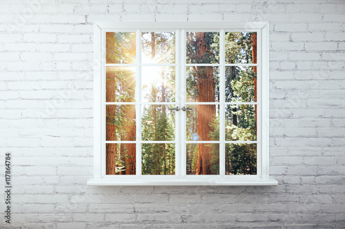 Window with forest view