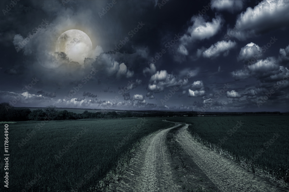 Countryroad night bright illuminated large moon