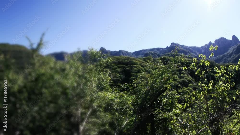 train passing through copper canyon mexico