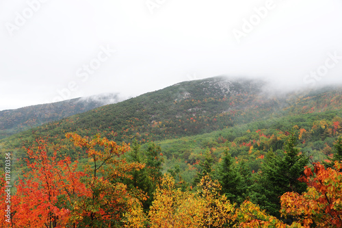 colorful autumn forest and mountain in morning fog