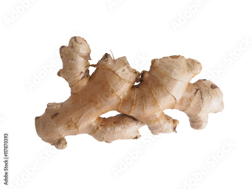 Fresh ginger root isolated