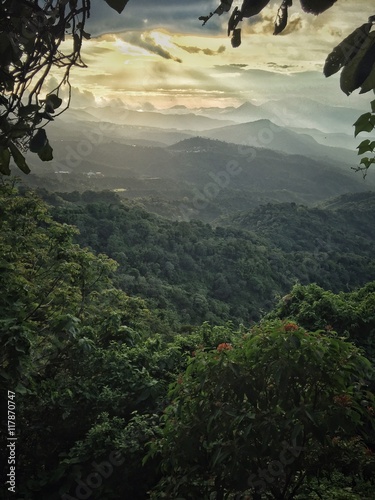 Comasagua forest in El Salvador