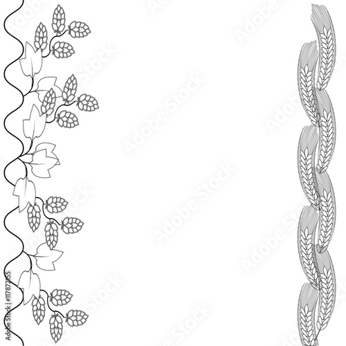 Decorative hops and malt cover design on white background
