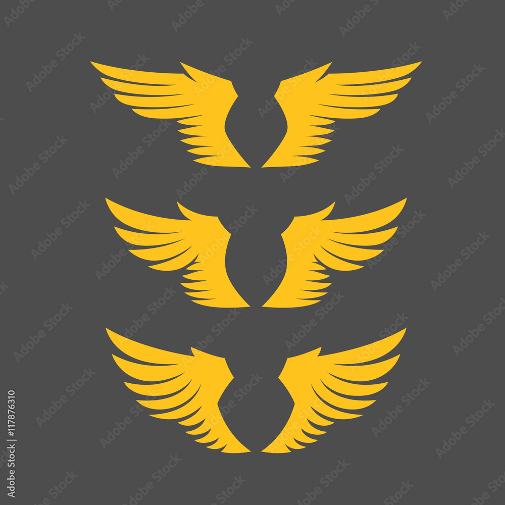 Fototapeta premium Set of angel wings.