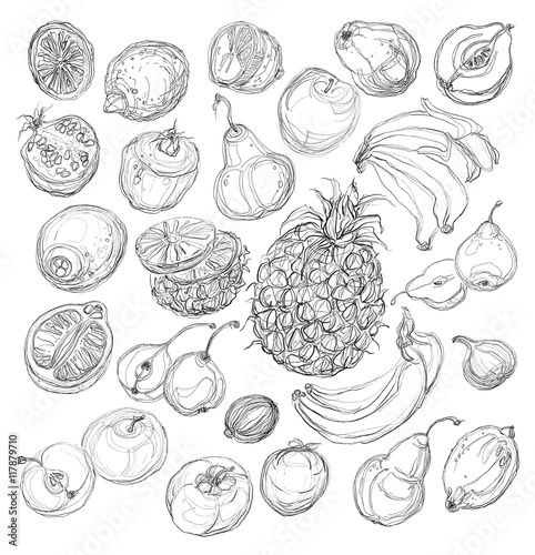 Set of fruits. Freehand drawing.