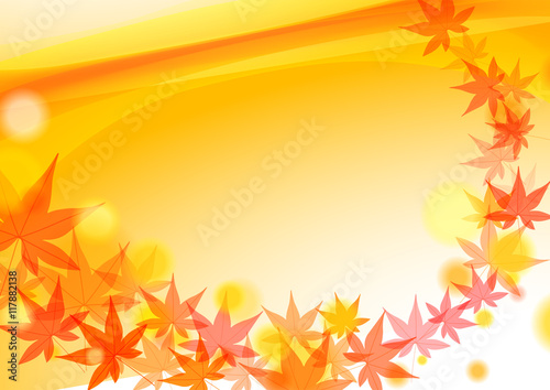 autumn maple background