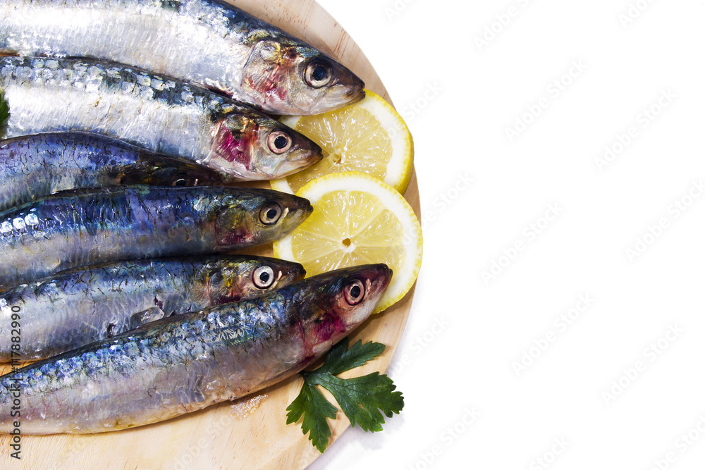 seafood, fish: sardines isolated on white seafood, fish: sardines isolated on white