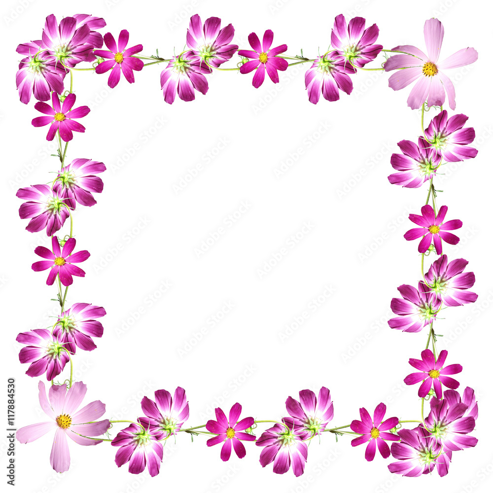 Beautiful summer background of pink and purple flowers 