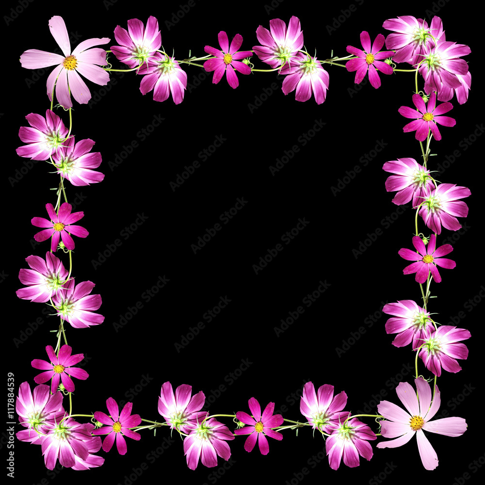 Beautiful summer background of pink and purple flowers Beautiful summer background of pink and purple flowers