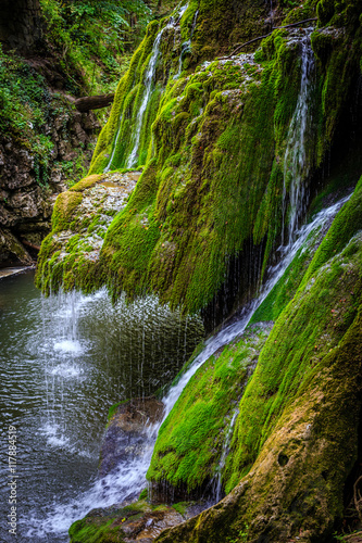 Bigar water fall, Romania, formed by an underground water spring witch spectacular falls into the Minis River photo