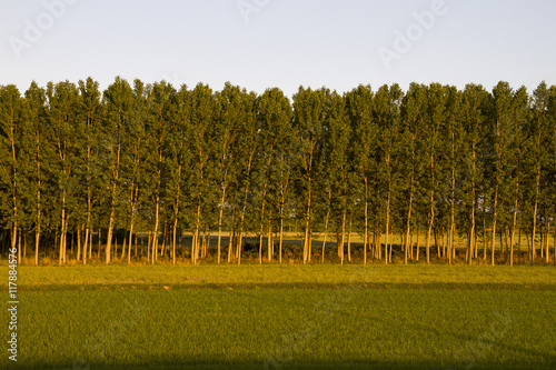 Campagna padana photo