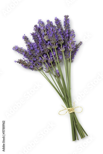 Fototapeta Naklejka Na Ścianę i Meble -  Fresh purple lavender flowers