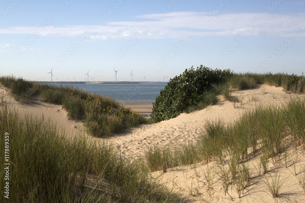 Obraz premium View from dunes to wind farm near Eastern Scheldt barrier, Zeeland, The Netherlands