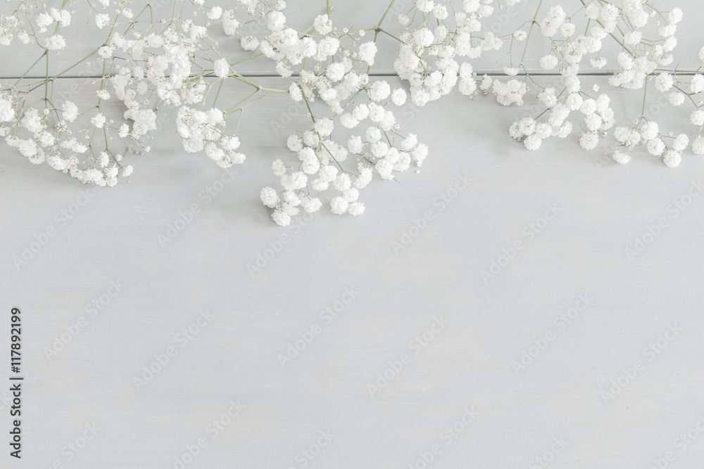 Light winter background with baby's breath Stock Photo | Adobe Stock