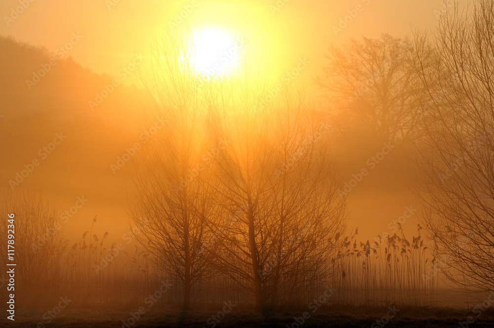 Sonnenaufgang mit Nebel Sonnenaufgang mit Nebel
