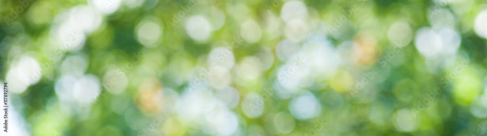 image of natural abstract background closeup