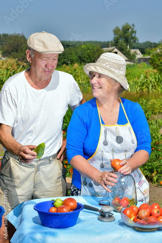 пенсионеры мужчина и женщина летом на огороде консервируют овощи © pavel72