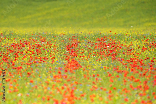 Castelluccio di Norcia