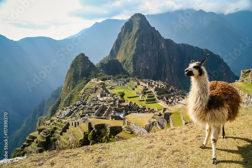 Lama And Machu Picchu © Pav-Pro Photography 