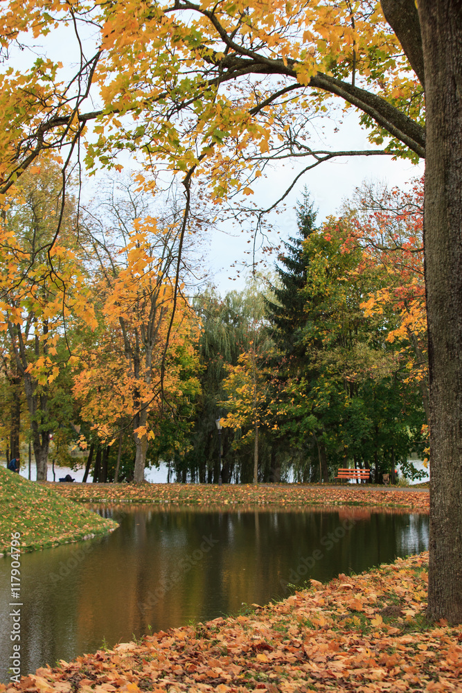Autumn park in Nesvizh,Belarus 
