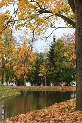 Autumn park in Nesvizh,Belarus 