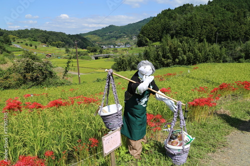 明日香村の案山子