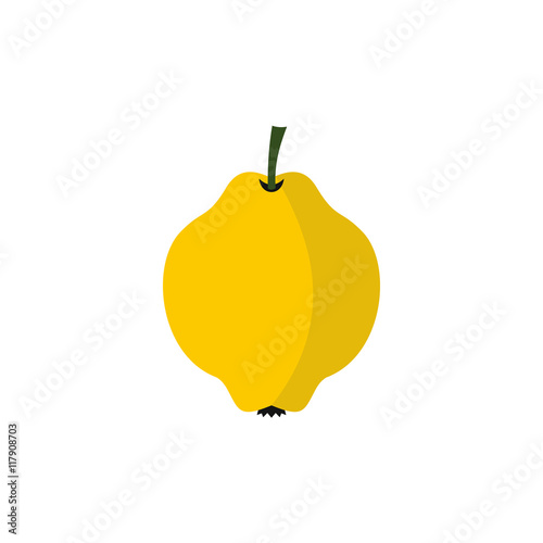 Yellow quince fruit icon in flat style on a white background